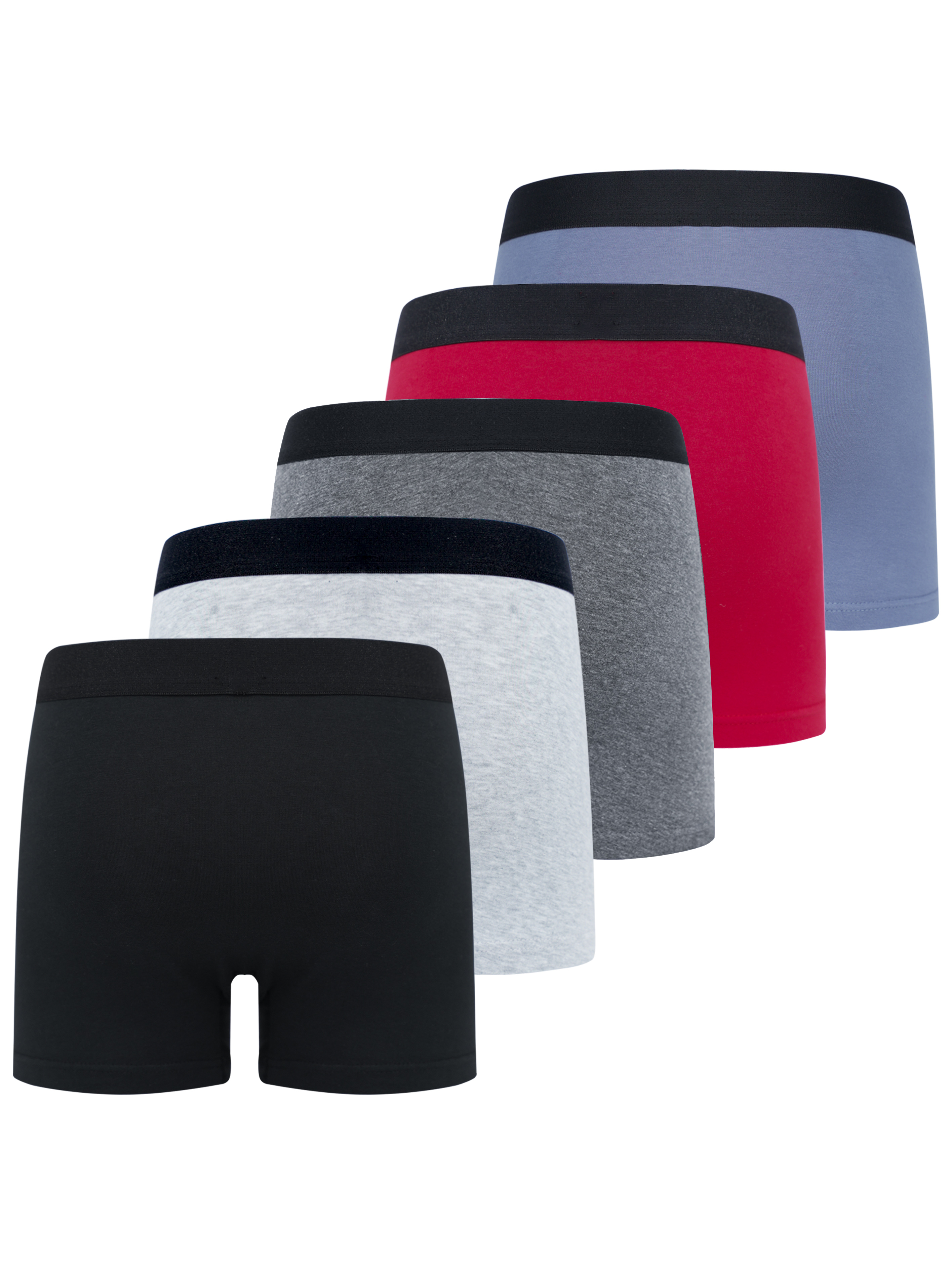 5 Pack Boys Dino Truck Underwe - Multi Pack Underwear recensie en prijs