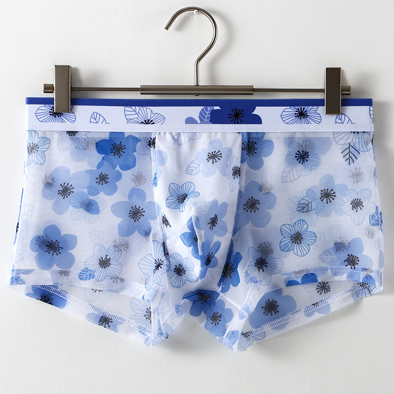 Ultra Thin Transparent Ice Sil - Mesh Sport Boxer recensie en prijs