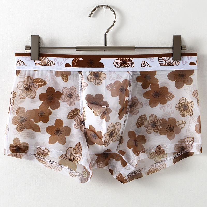 Ultra Thin Transparent Ice Sil - Mesh Sport Boxer recensie en prijs