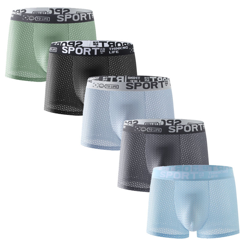 5PCS Men's Ice Silk Mesh Boxer - Mesh Sport Boxer recensie en prijs