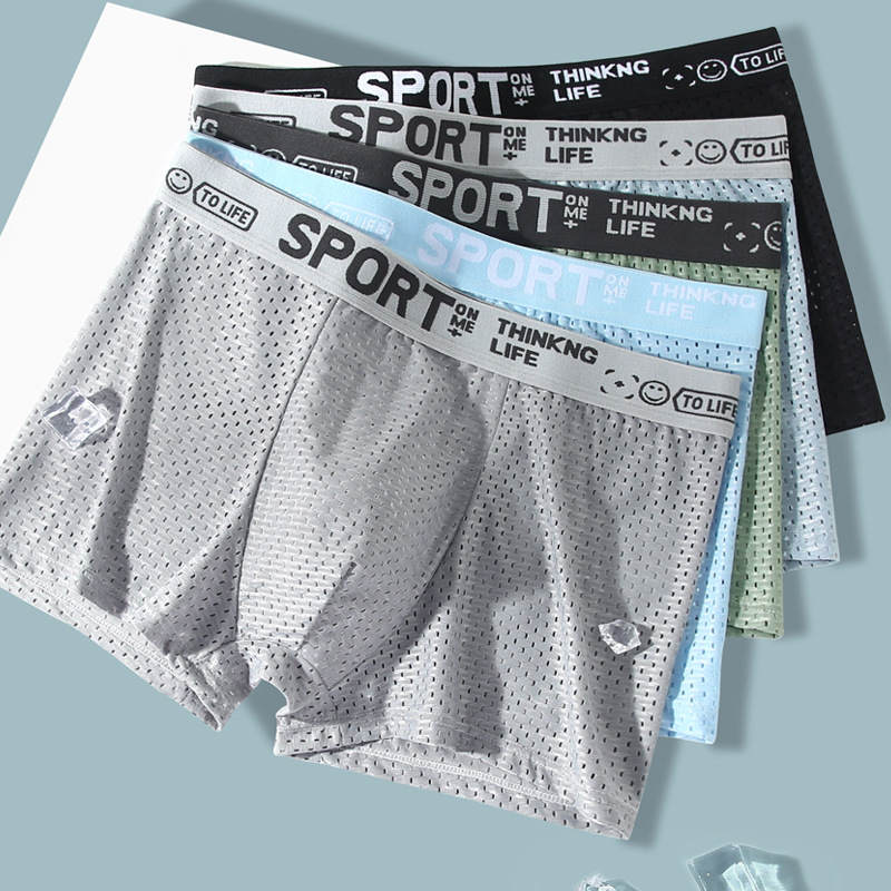 5PCS Men's Ice Silk Mesh Boxer - Mesh Sport Boxer recensie en prijs