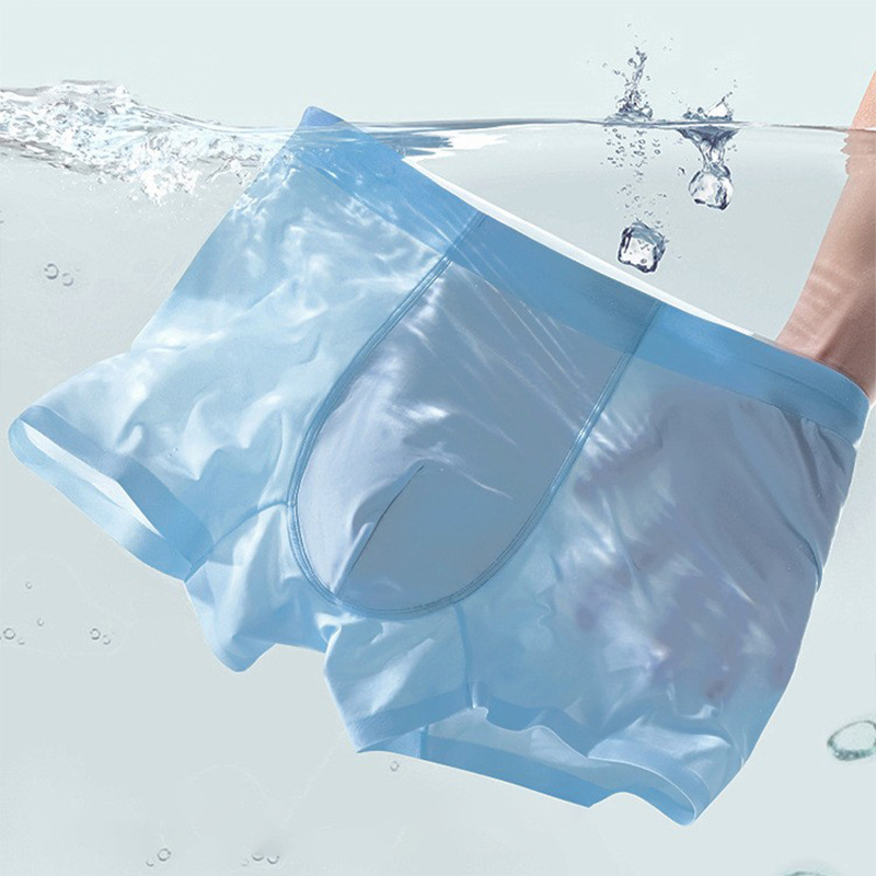 Men's Underwear Ice Silk Breat - Multi Pack Underwear recensie en prijs
