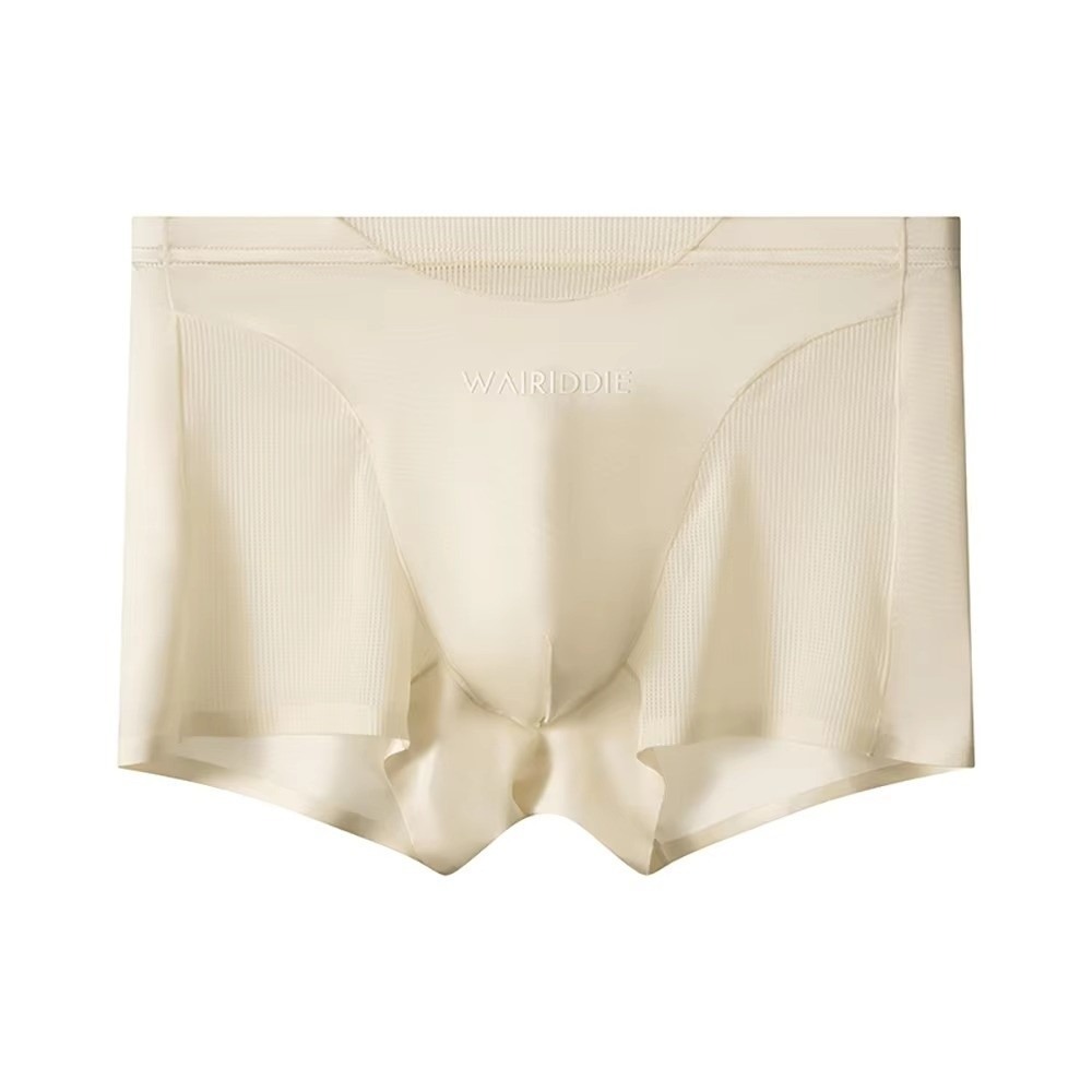 Simple Mesh Ice Silk Underwear - Mesh Sport Boxer recensie en prijs