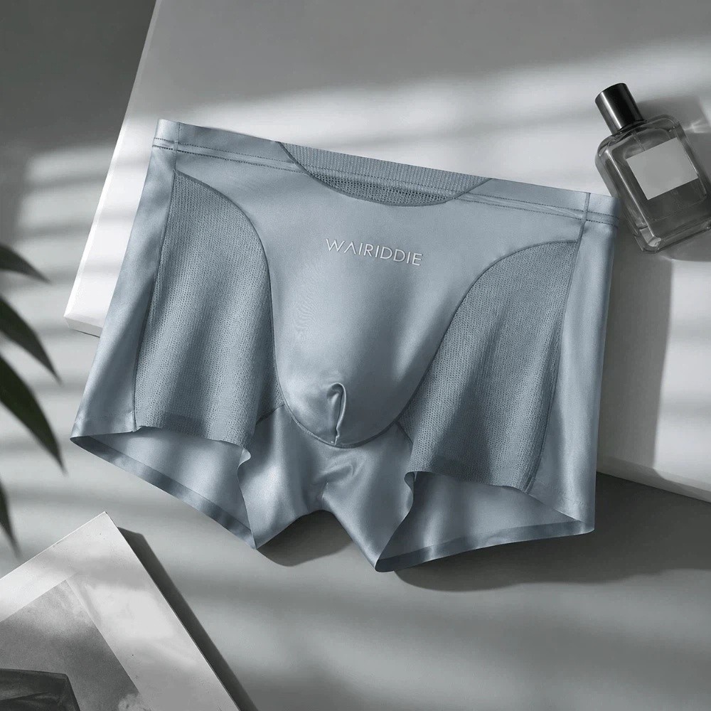 Simple Mesh Ice Silk Underwear - Mesh Sport Boxer recensie en prijs