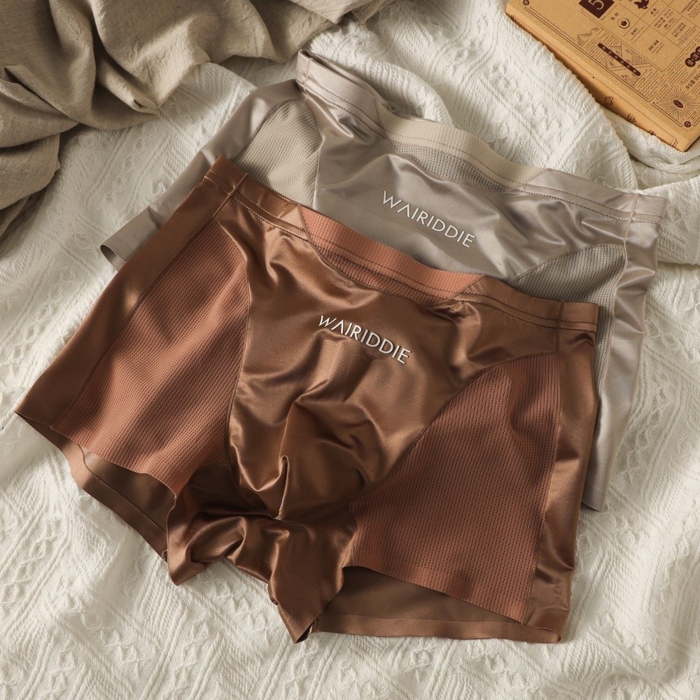 Simple Mesh Ice Silk Underwear - Mesh Sport Boxer recensie en prijs
